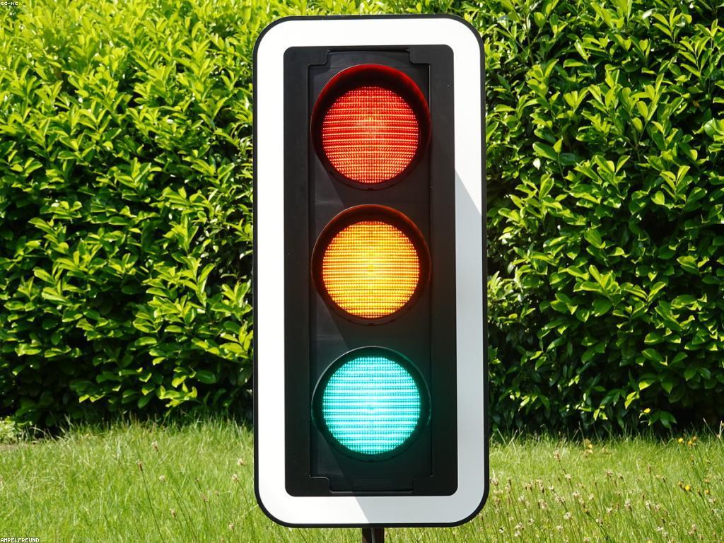 សិល្បៈនៃការបង្ហាញកាស៊ីណូ