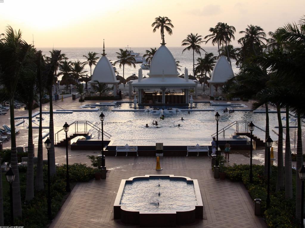 ការបង្ហាញកាស៊ីណូ: សិល្បៈនៃការបង្ហាញនិងការផ្សារភ្ជាប់