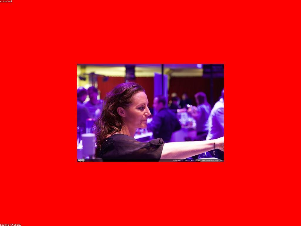 ការស៊ើបអង្កេតអំពីព្រឹត្តិការណ៍កាស៊ីណូ