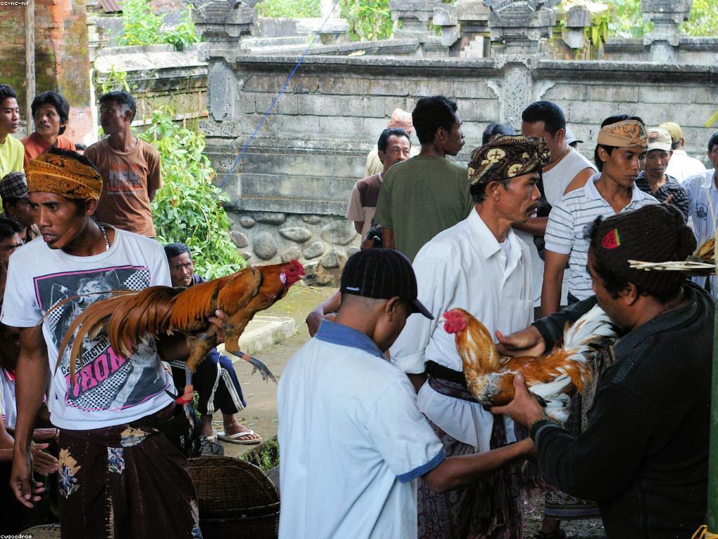 អនាគតនៃព្រឹត្តិការណ៍កាស៊ីណូ: ចក្ខុវិស័យនិងអនុសាសន៍