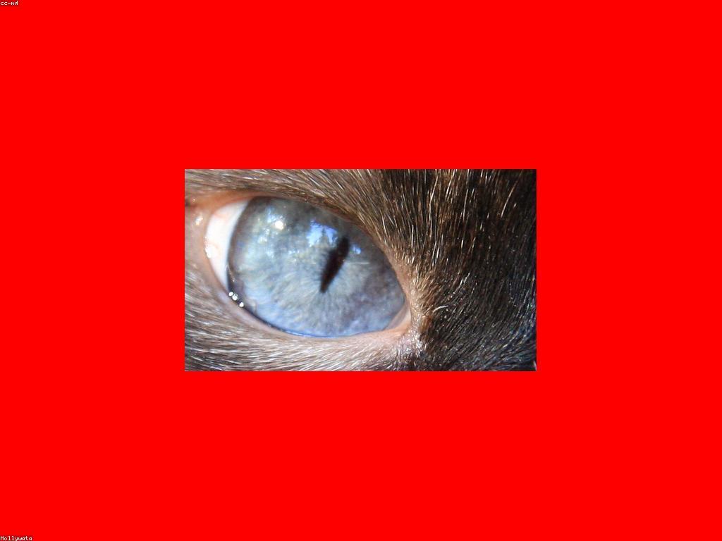 សារៈសំខាន់នៃអត្ថបទអប់រំ